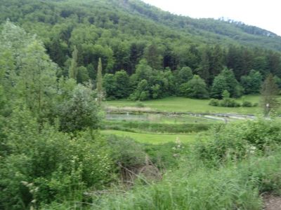 Kliknite za ogled večje slike