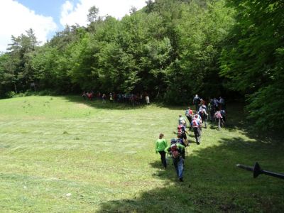 Kliknite za ogled večje slike