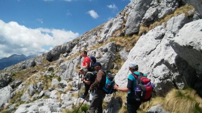 Kliknite za ogled večje slike