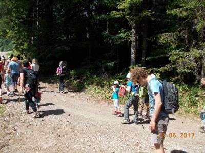 Kliknite za ogled večje slike