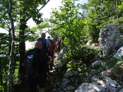 Kliknite za ogled večje slike