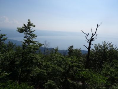 Kliknite za ogled večje slike