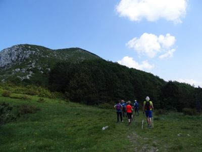 Kliknite za ogled večje slike