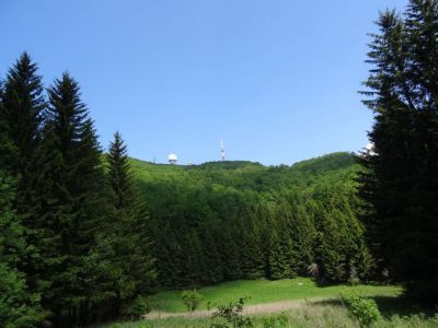 Kliknite za ogled večje slike