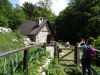 DSC06330.JPG
