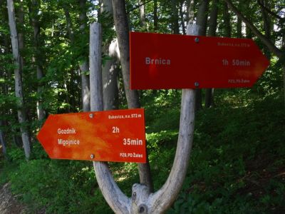 Kliknite za ogled večje slike