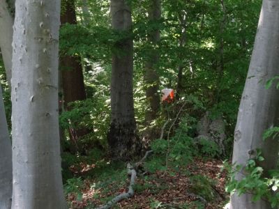 Kliknite za ogled večje slike