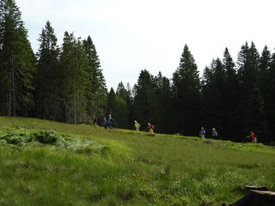 Kliknite za ogled večje slike