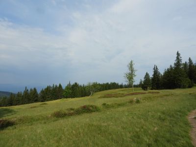 Kliknite za ogled večje slike