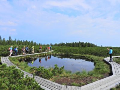 Kliknite za ogled večje slike