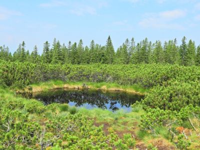 Kliknite za ogled večje slike