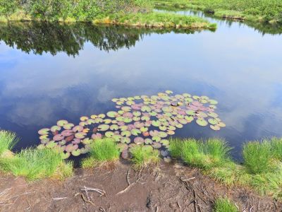 Kliknite za ogled večje slike