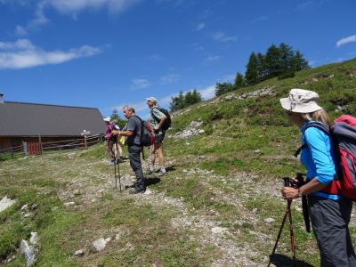 Kliknite za ogled večje slike