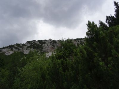 Kliknite za ogled večje slike