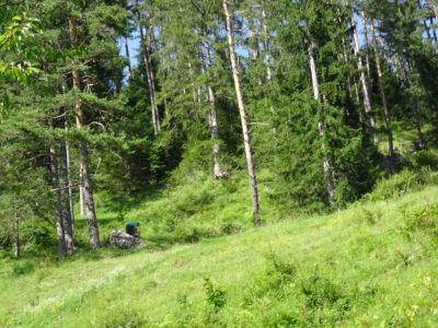 Kliknite za ogled večje slike