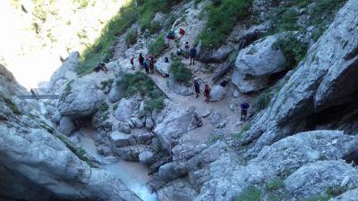 Kliknite za ogled večje slike