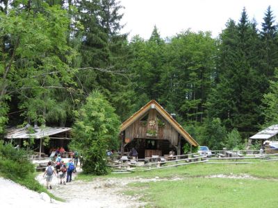 Kliknite za ogled večje slike