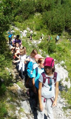 Kliknite za ogled večje slike