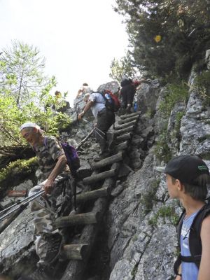 Kliknite za ogled večje slike