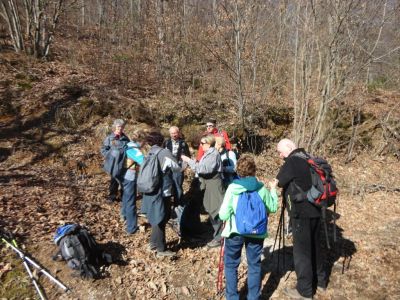 Kliknite za ogled večje slike