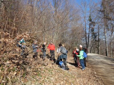 Kliknite za ogled večje slike