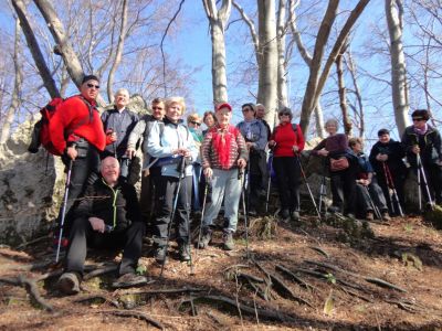 Kliknite za ogled večje slike