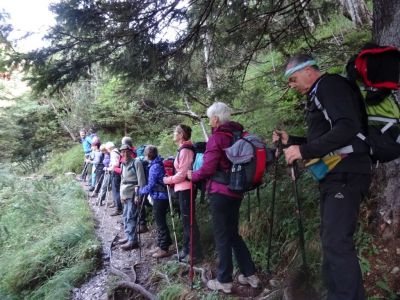 Kliknite za ogled večje slike