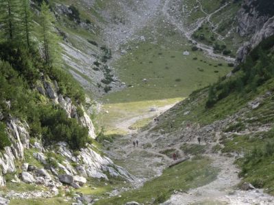 Kliknite za ogled večje slike