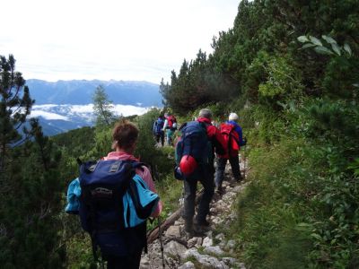 Kliknite za ogled večje slike