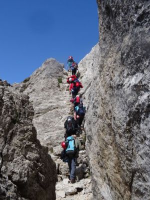 Kliknite za ogled večje slike