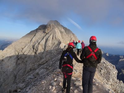 Kliknite za ogled večje slike