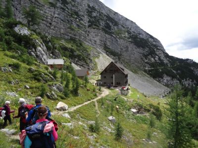 Kliknite za ogled večje slike