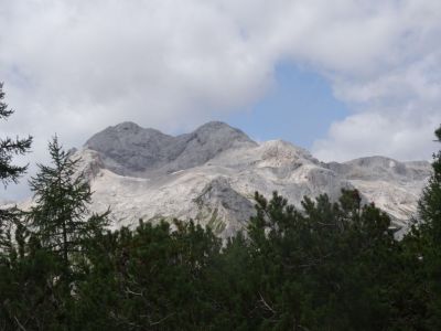 Kliknite za ogled večje slike