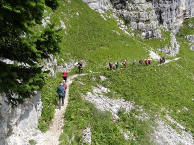 Kliknite za ogled večje slike