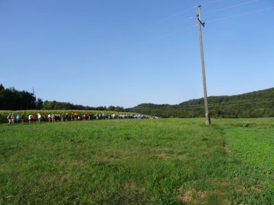 Kliknite za ogled večje slike