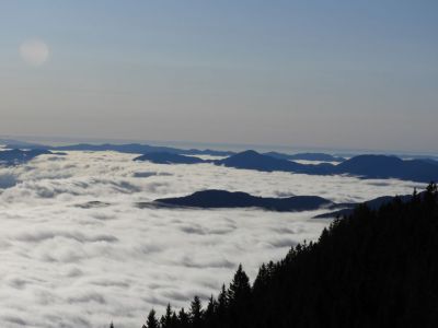 Kliknite za ogled večje slike