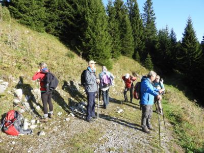 Kliknite za ogled večje slike