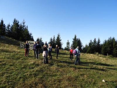 Kliknite za ogled večje slike