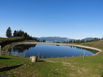 Kliknite za ogled večje slike