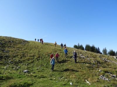 Kliknite za ogled večje slike