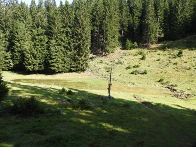 Kliknite za ogled večje slike