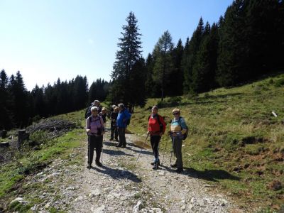 Kliknite za ogled večje slike