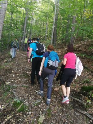 Kliknite za ogled večje slike