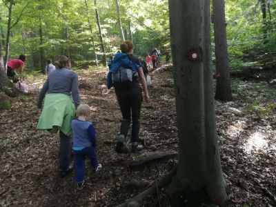 Kliknite za ogled večje slike