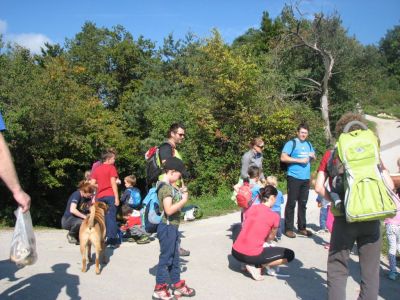 Kliknite za ogled večje slike