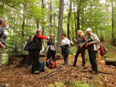 Kliknite za ogled večje slike
