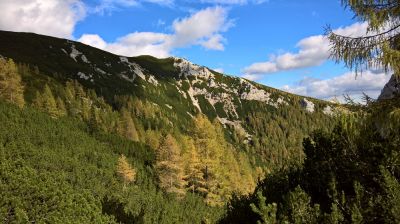 Kliknite za ogled večje slike