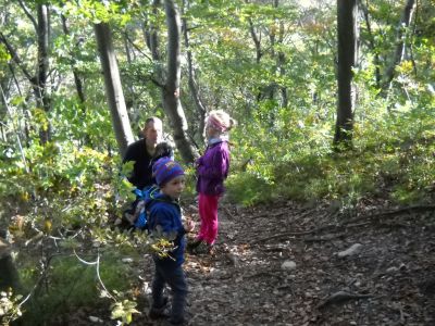 Kliknite za ogled večje slike