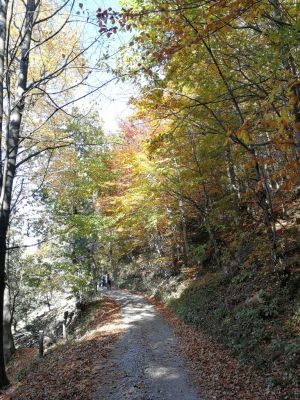 Kliknite za ogled večje slike