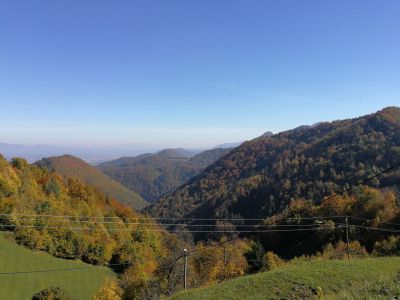 Kliknite za ogled večje slike